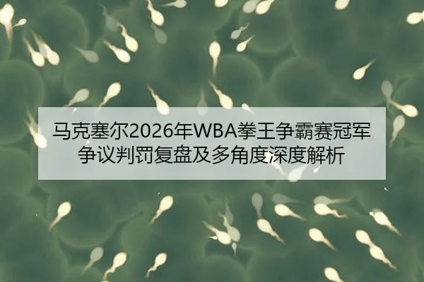 ma-ke-sai-er-nian-quan-wang-zheng-ba-sai-guan-jun-zheng-yi-pan-fa-fu-pan-ji-duo-jiao-du-shen-du-jie-xi-2-609.jpg